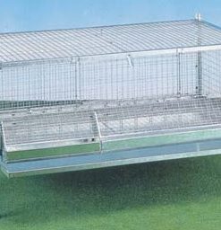 Gabbia per pulcini antitopo cm 100×50 h.cm 60